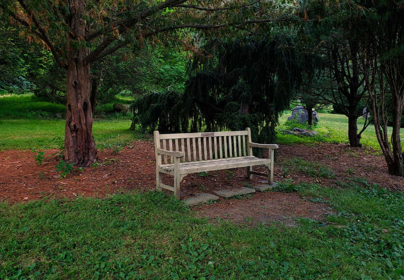David C. Shaw Arboretum, United States